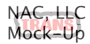 Trans Word Shaker Blank
